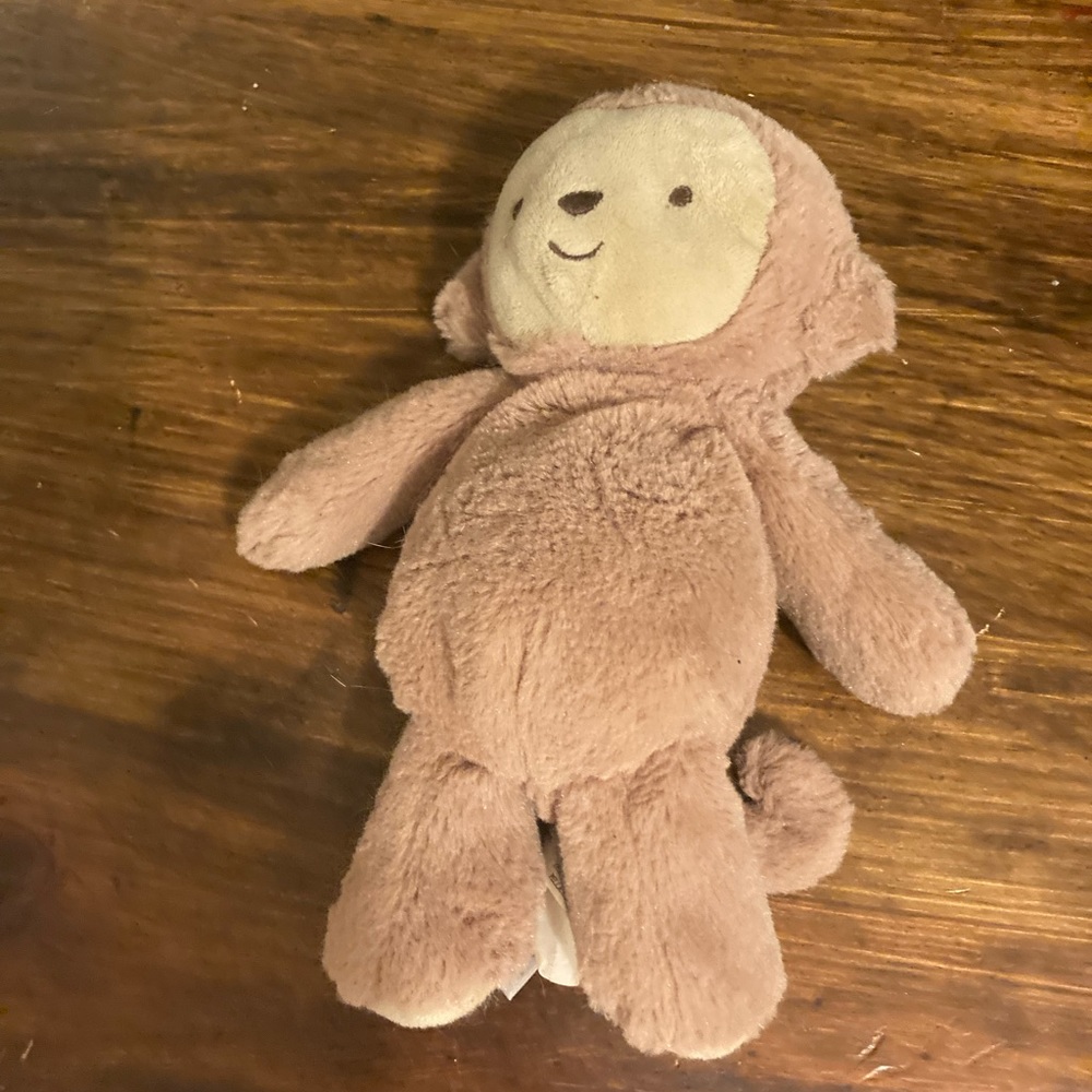bear